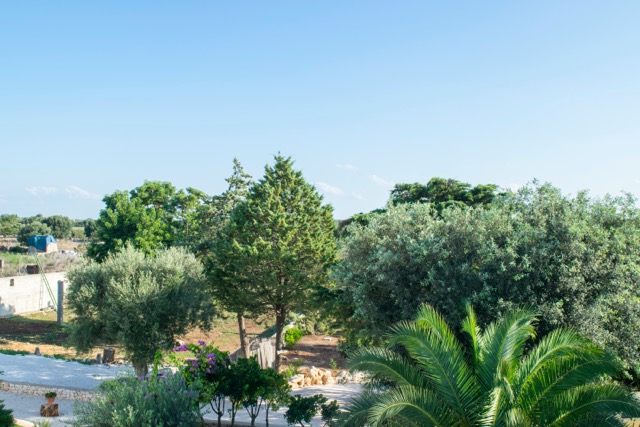 Esperienza in agriturismo a Stintino